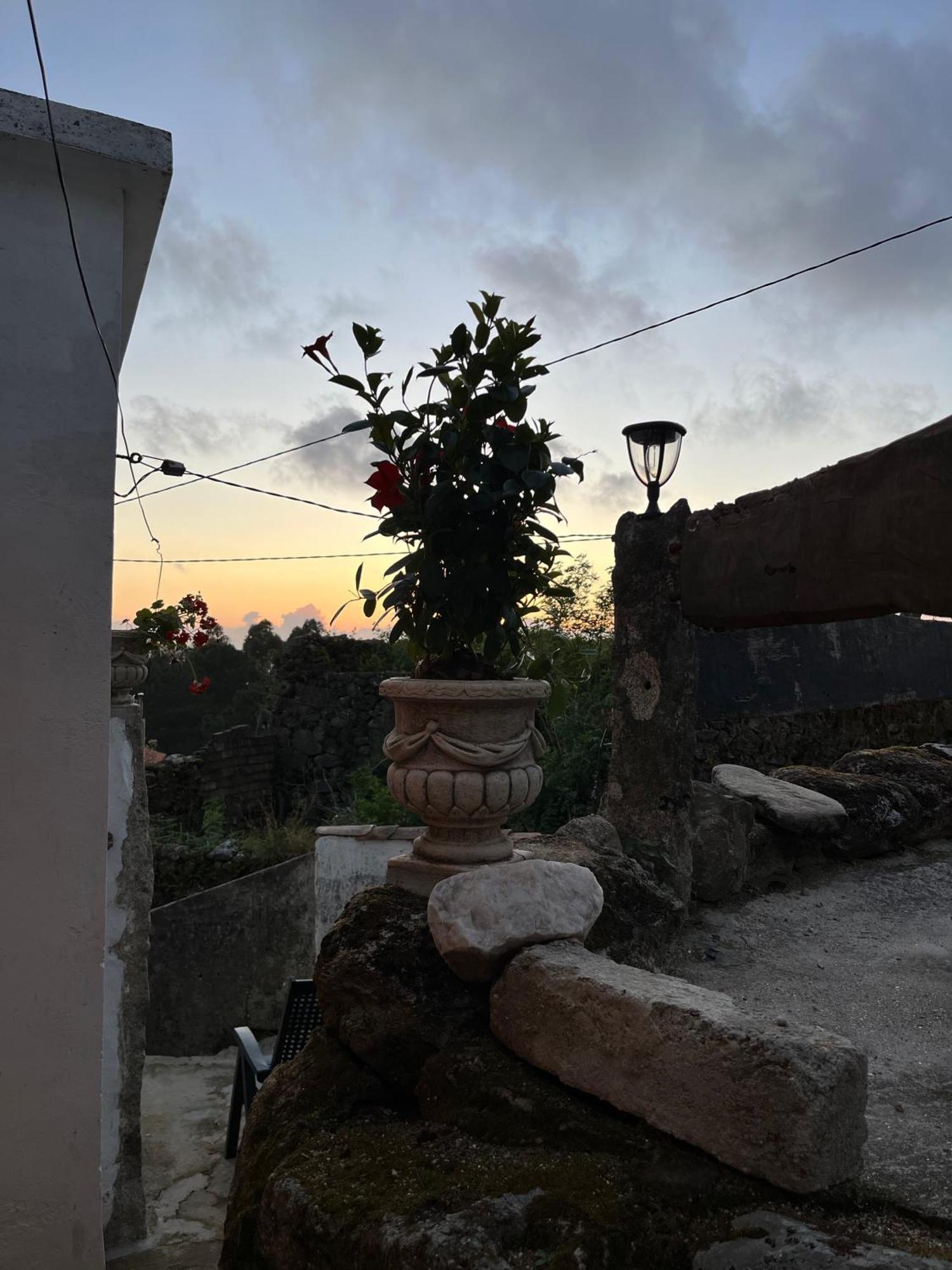 Mirada Do Roxo Daire Oia Dış mekan fotoğraf